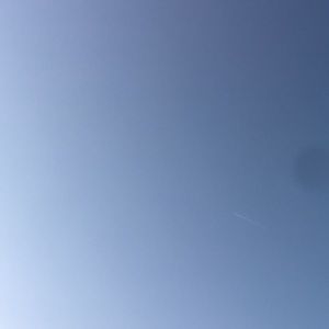 Meet your Posher, Shawn